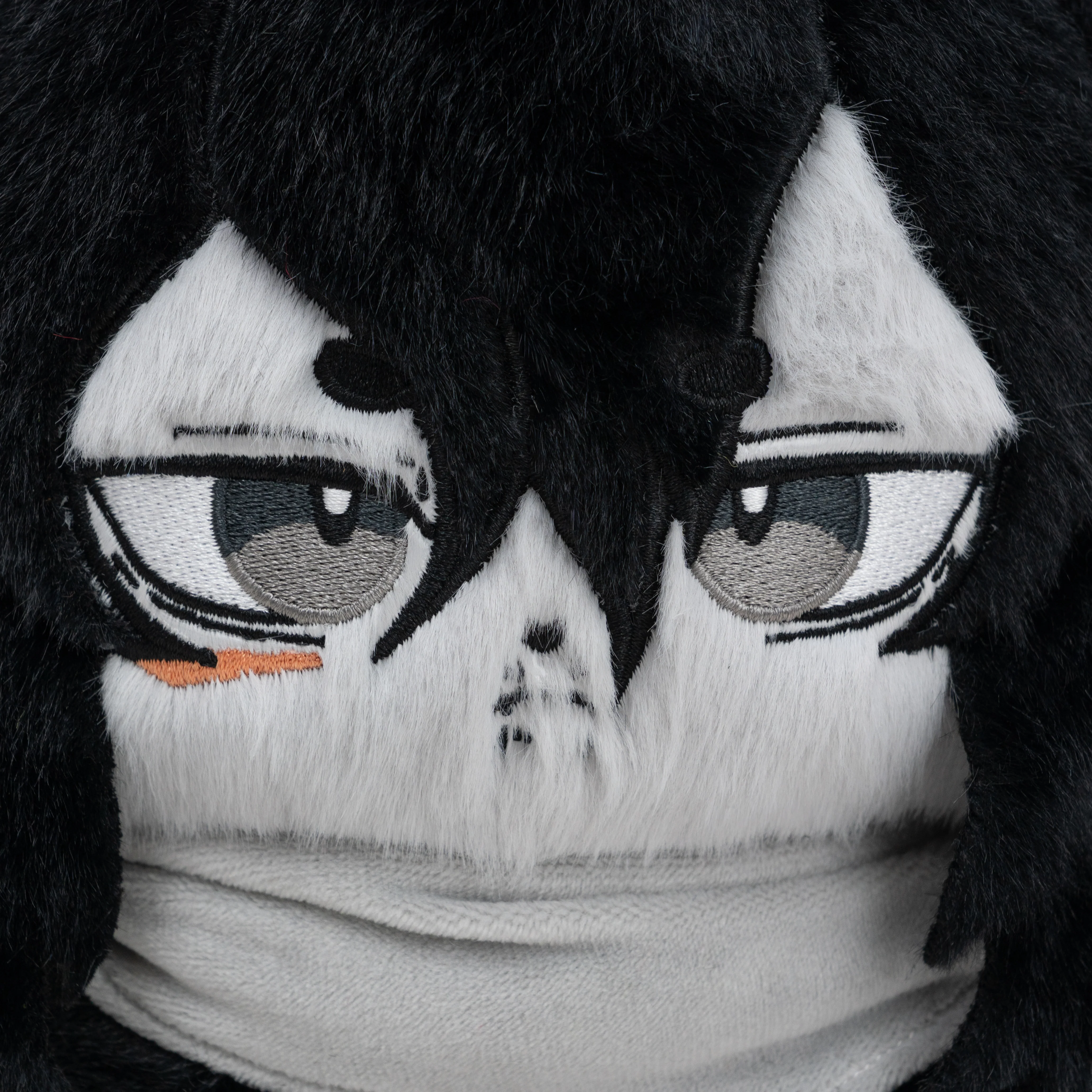 Aizawameow - Image 5