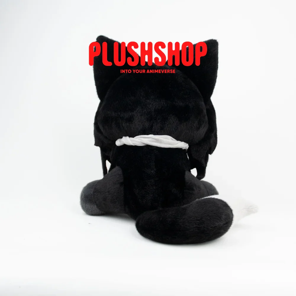 Aizawameow - Image 4