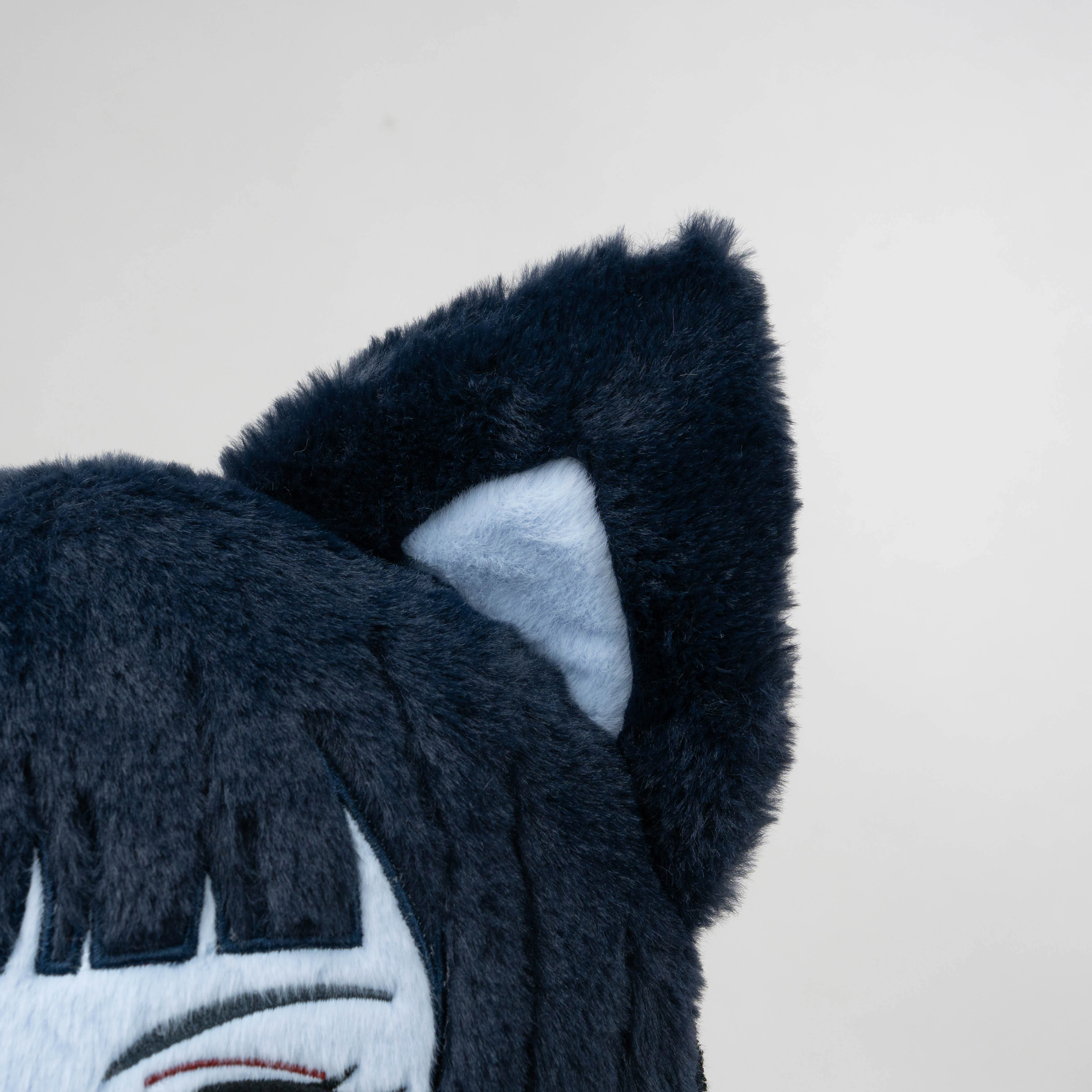Kirarameow - Image 8