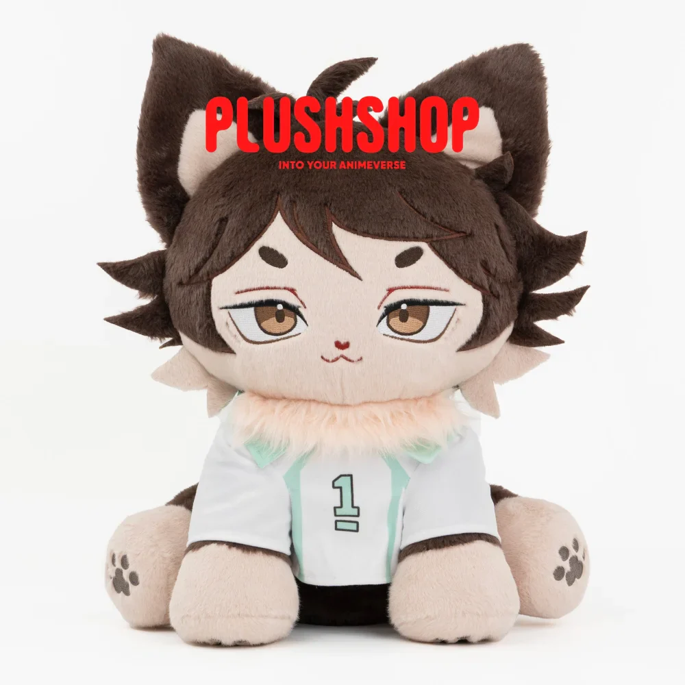 Oikawameow - Image 2