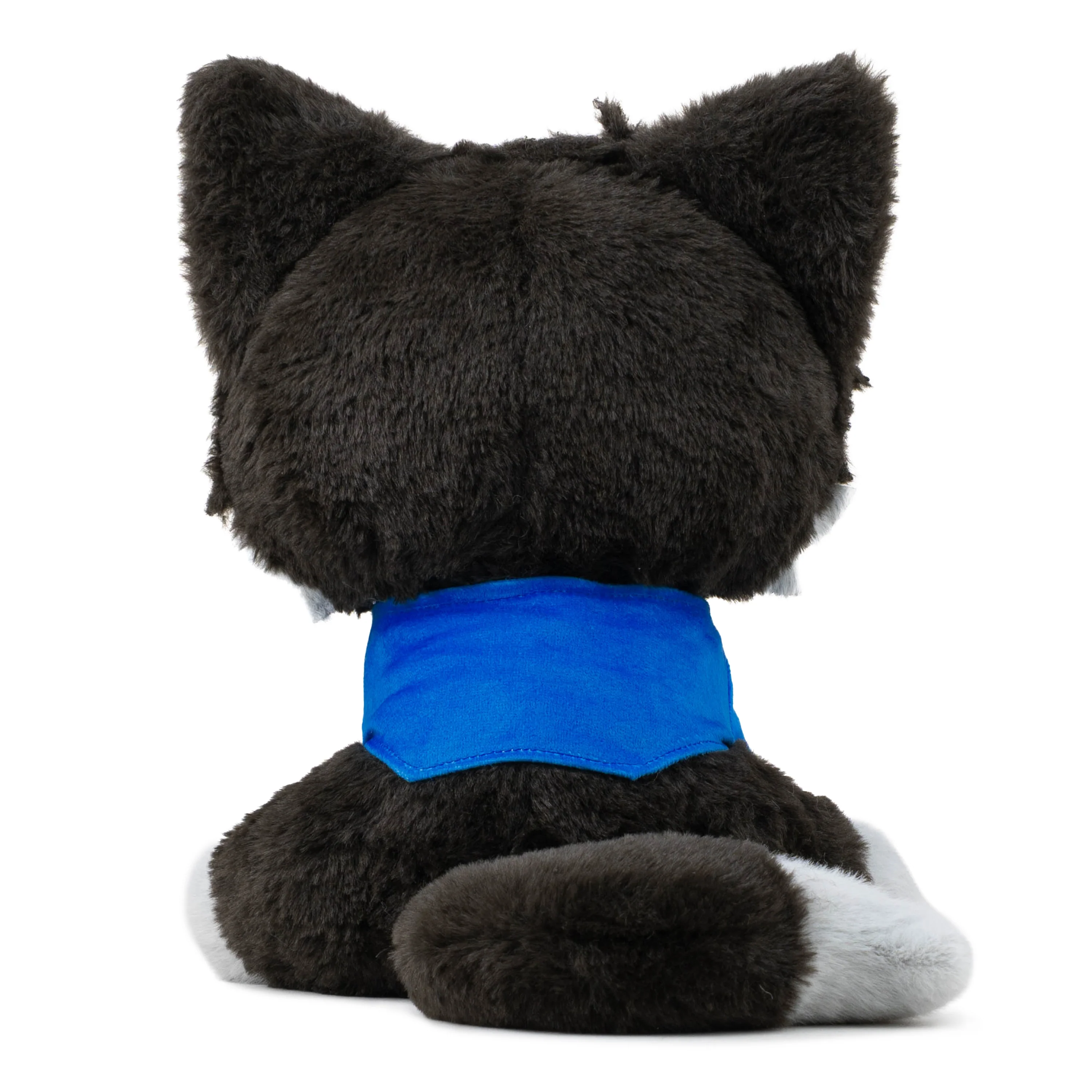 Shanemeow - Image 4