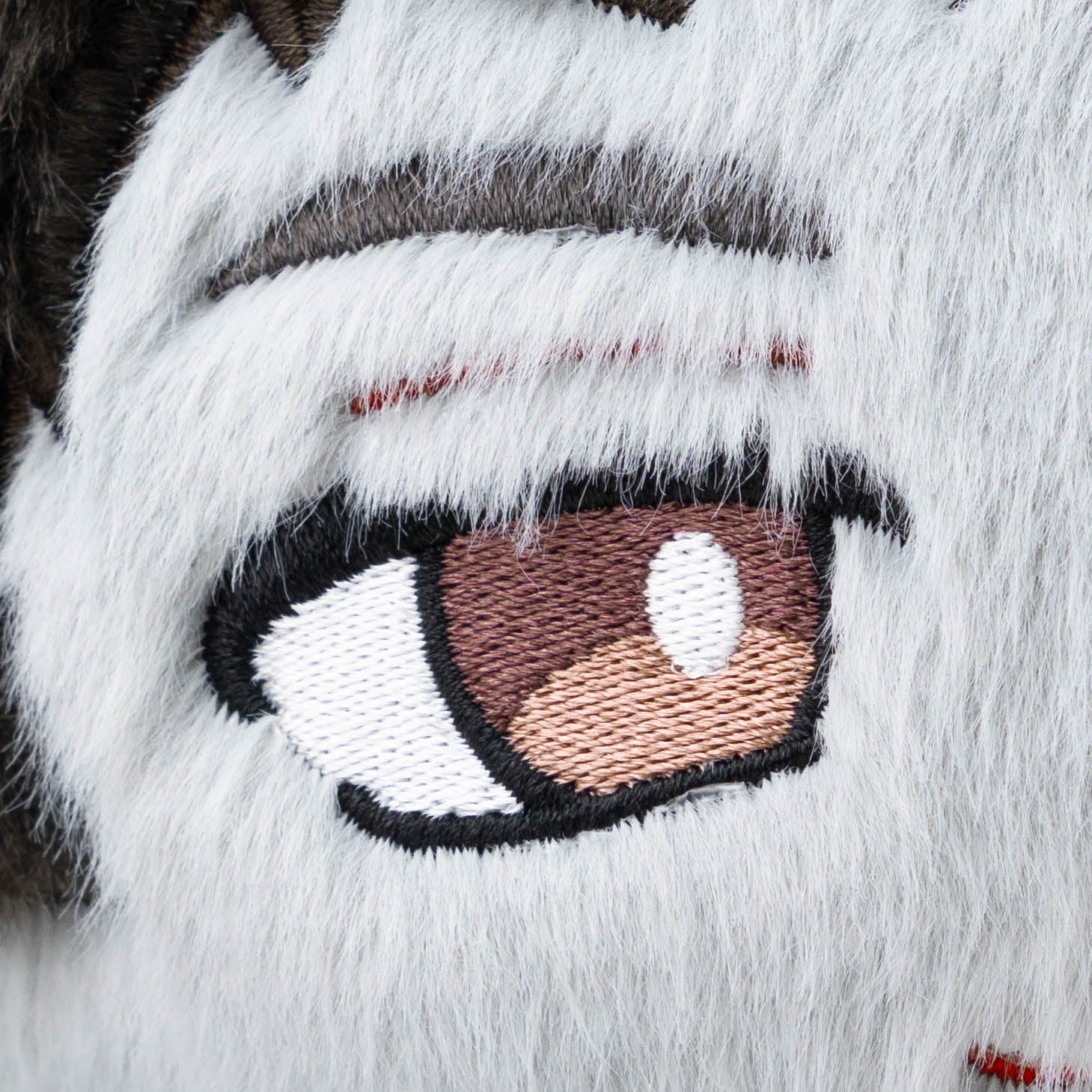 Shanemeow - Image 8