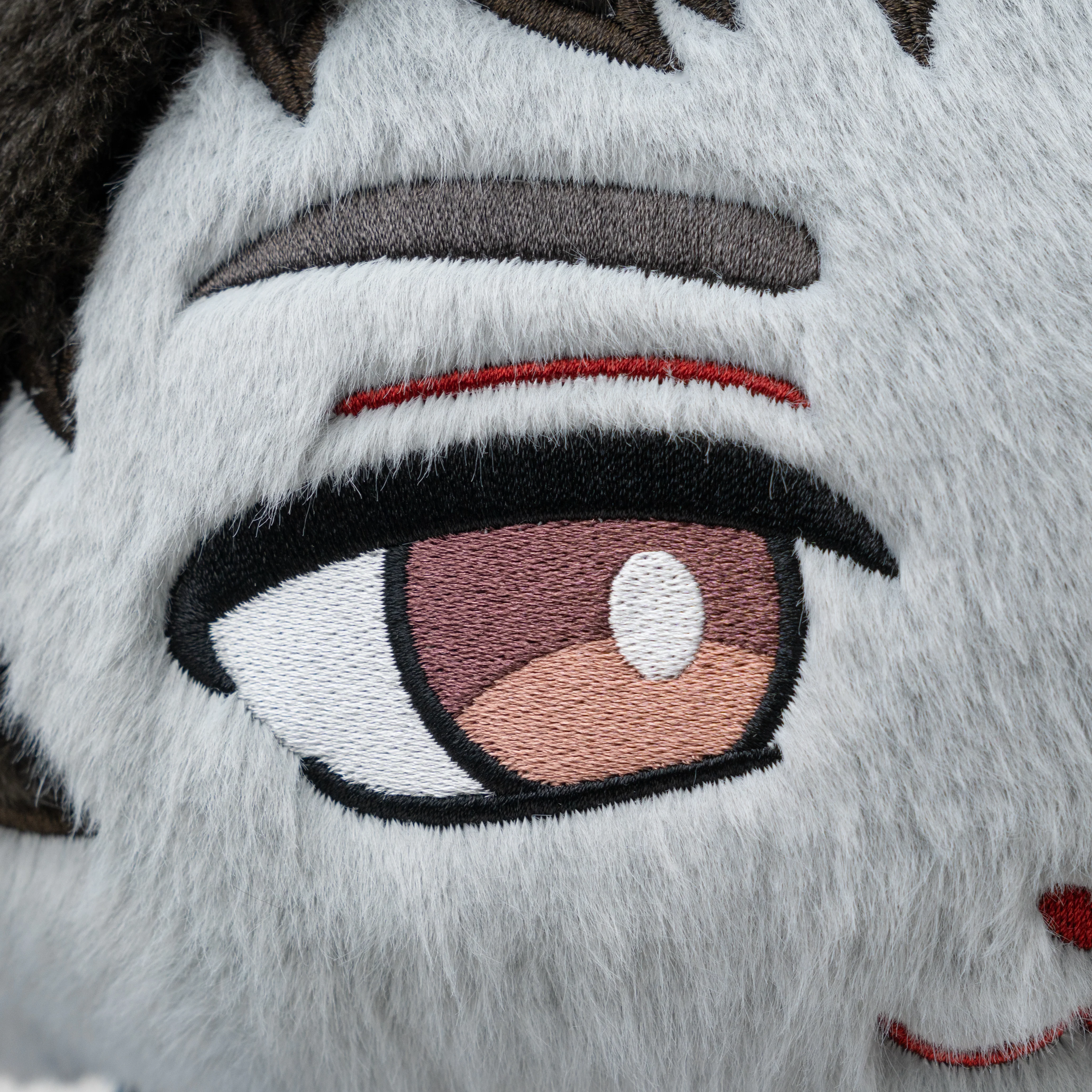 Shanemeow - Image 7