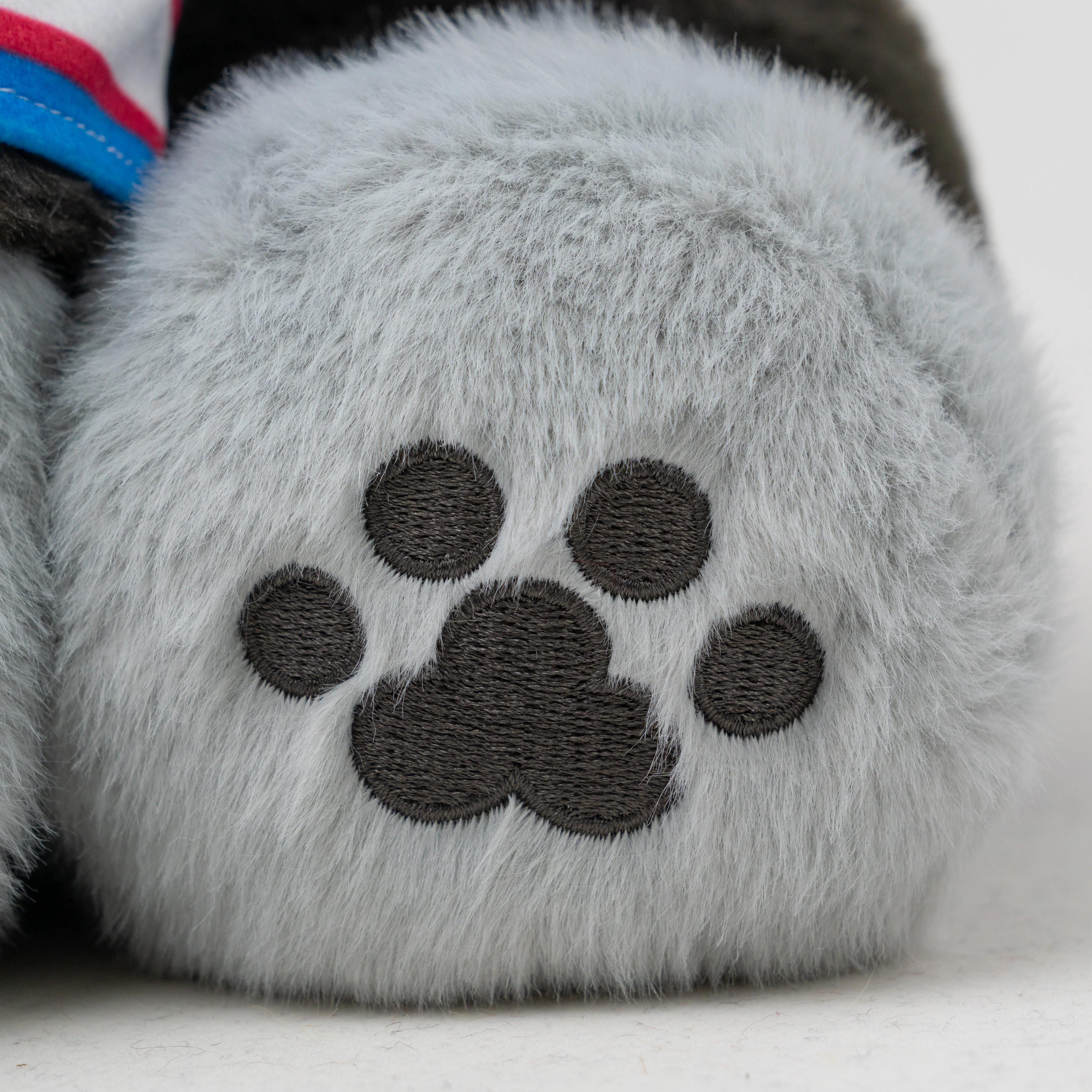 Shanemeow - Image 9